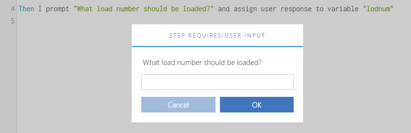 User prompt