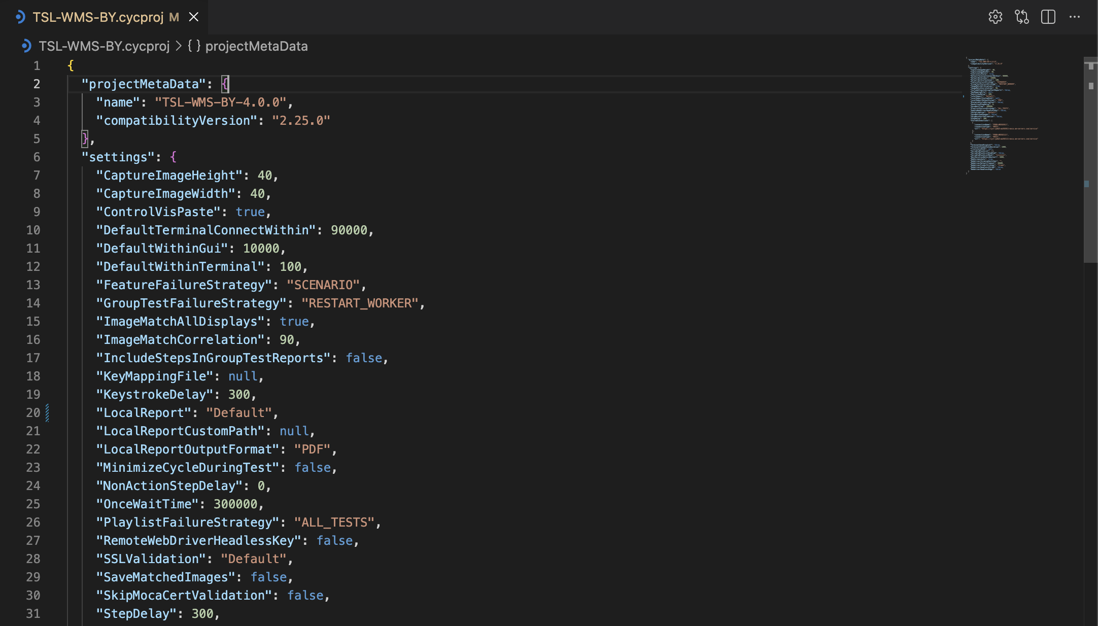 Project Settings Text Editor