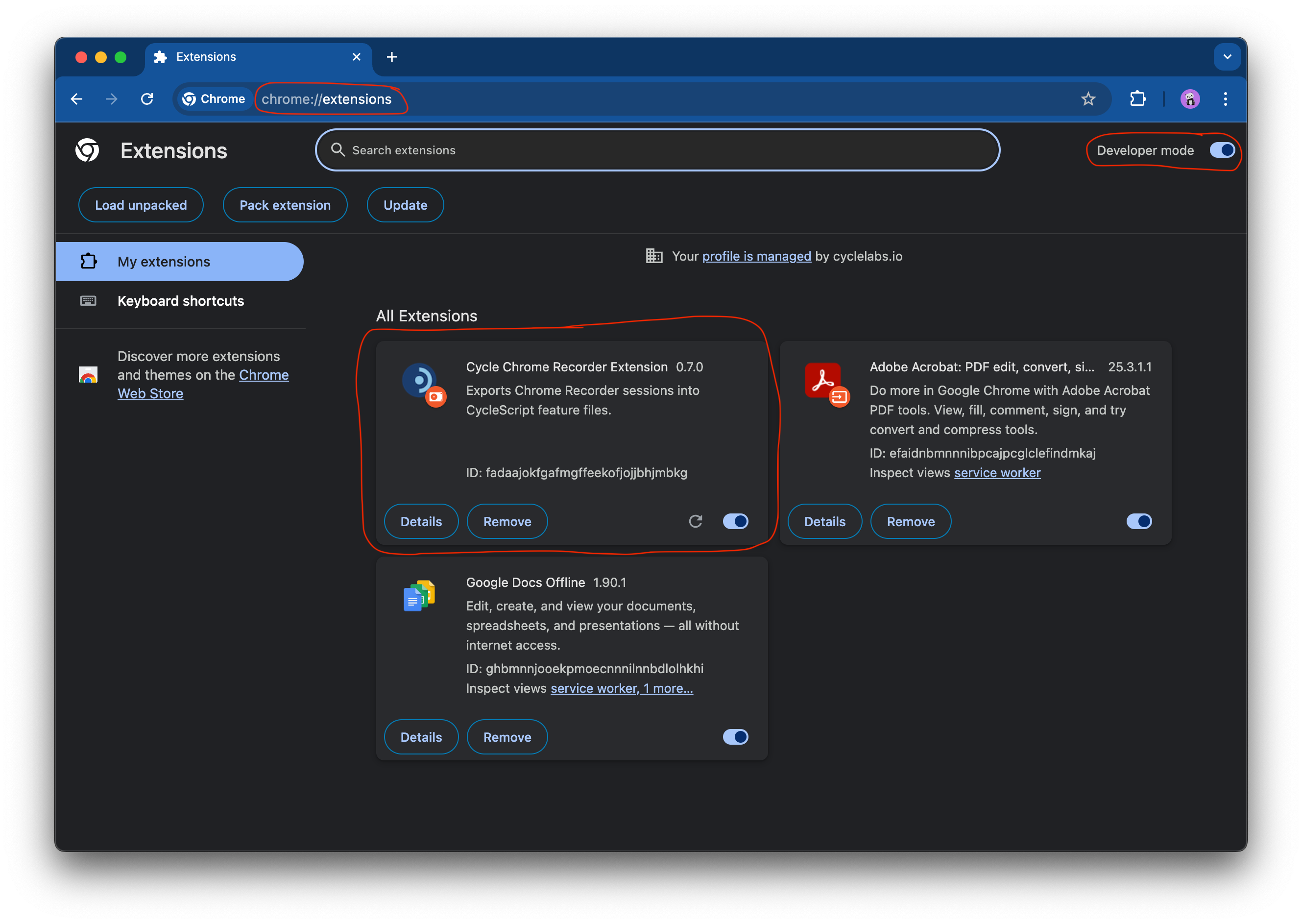 Installing the Cycle Chrome Recorder