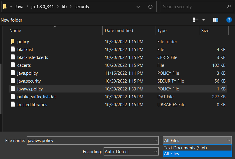 Open javaws.policy file