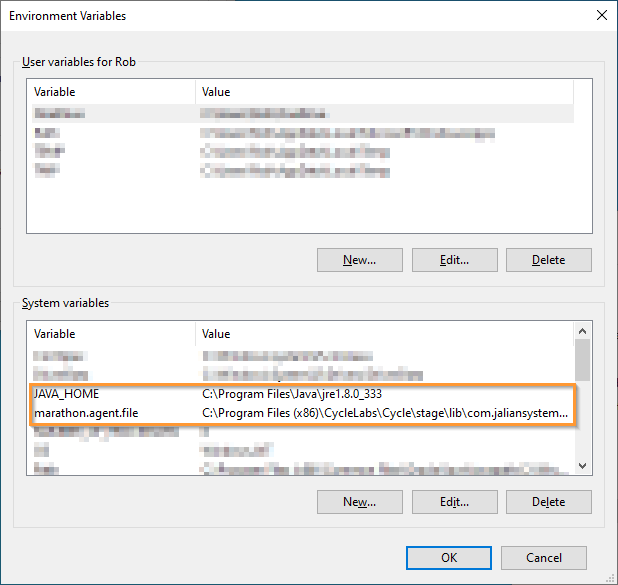 New Environment Variables