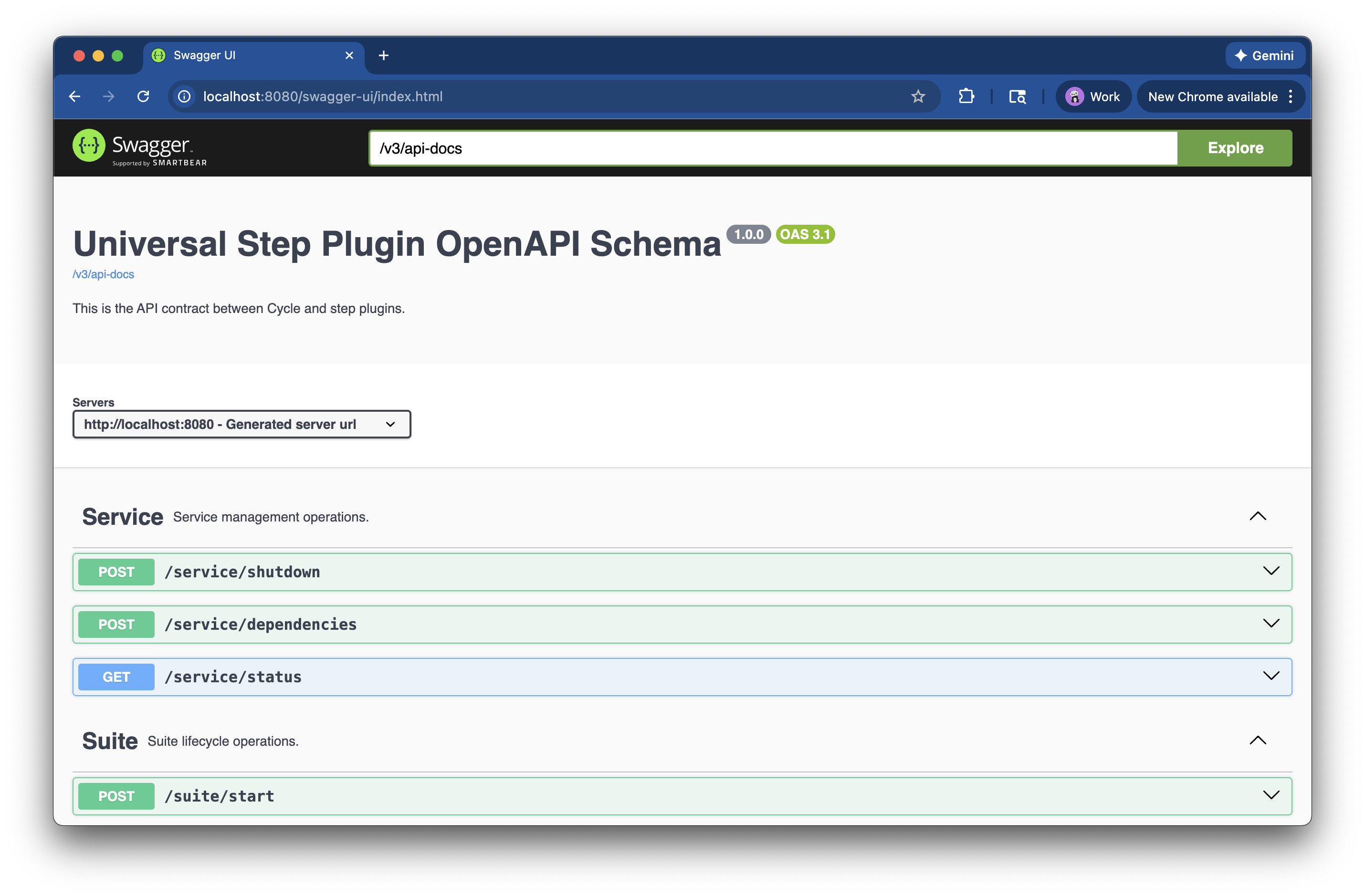 Plugin OpenAPI docs page